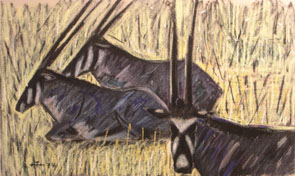 Heinz Theuerjahr - Oryxantilopen
